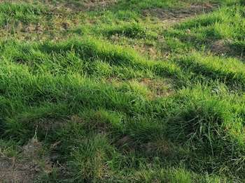 Vente de terrain Baud 56