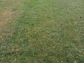 Vente Terrain 300 m&sup2;Baud