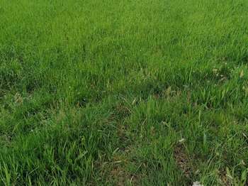Vente de terrain Baud 56