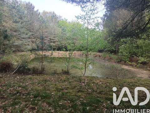Vente de terrain Baugé 49