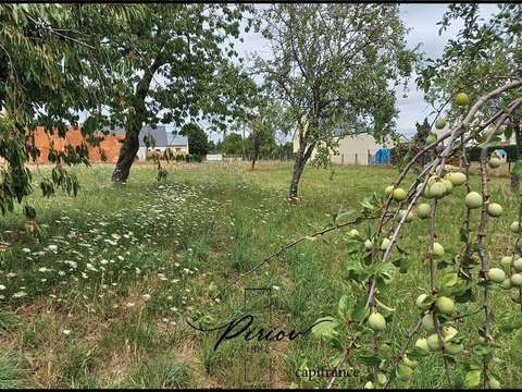 Vente de terrain Baugé 49