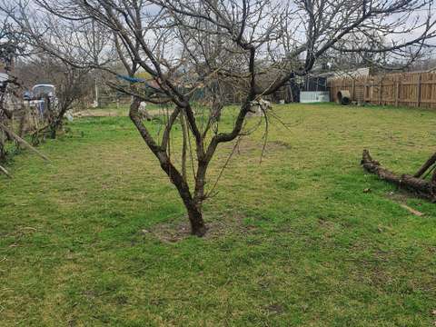 Vente de terrain Baugé 49