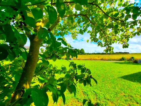 Vente de terrain Baugé 49