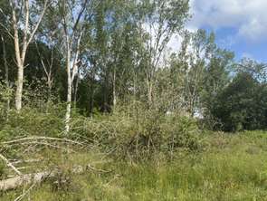 Vente Terrain 17009 m&sup2;Baugé