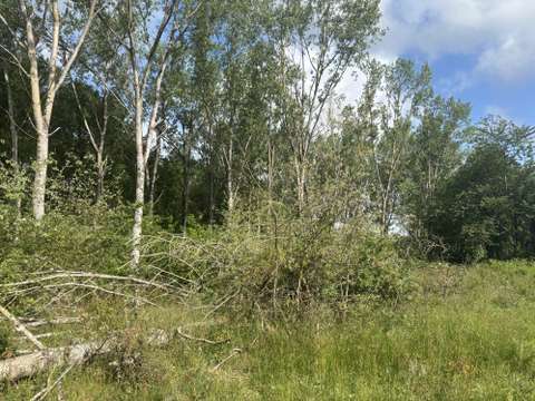 Vente de terrain Baugé 49