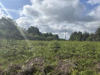 Vente de terrain