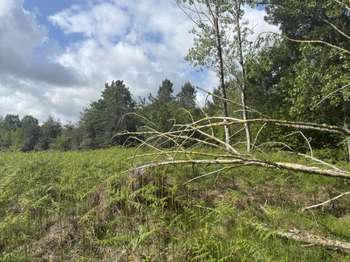 Vente de terrain