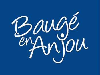 Vente Terrain 484 m&sup2;Baugé