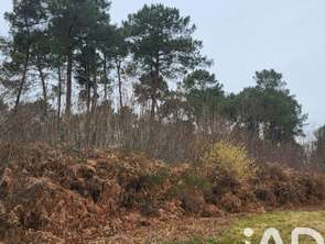 Vente Terrain 44000 m&sup2;Bazas