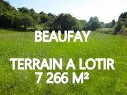 Vente Terrain 7266 m&sup2;Beaufay