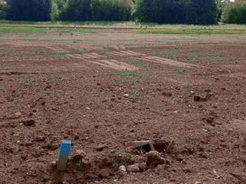Photo Vente de terrain Beaufou