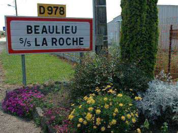 Vente de terrain Beaulieu-sous-la-Roche 85