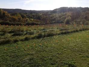 Vente Terrain 4492 m&sup2;Beauregard-de-Terrasson