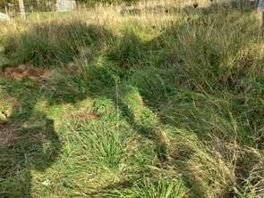 Vente Terrain 469 m&sup2;Beaussais-sur-Mer