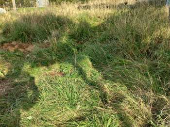 Vente de terrain Beaussais-sur-Mer 22