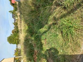Vente Terrain 469 m&sup2;Beaussais-sur-Mer