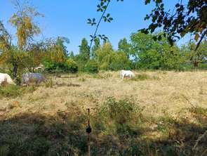 Vente Terrain 2217 m&sup2;Béceleuf