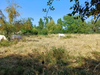 Vente de terrain Béceleuf 79
