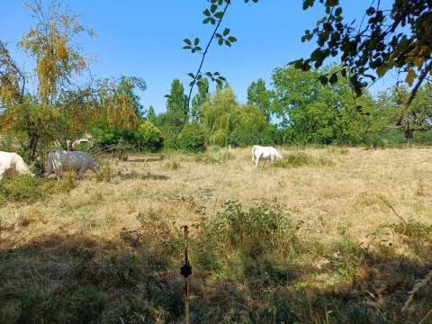 Vente de terrain Béceleuf 79