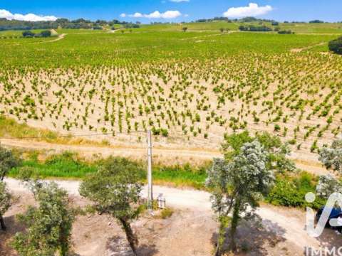 Vente de terrain Bédarrides 84