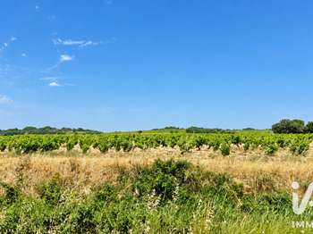 Vente Terrain 650 m&sup2;Bédarrides