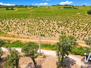 Vente Terrain 820 m&sup2;Bédarrides