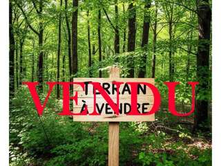 Vente de terrain