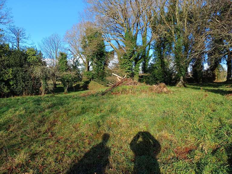 Vente de terrain
