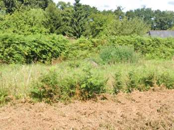 Vente Terrain 1916 m&sup2;Bégard