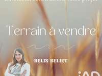 Vente de terrain Vente de terrain