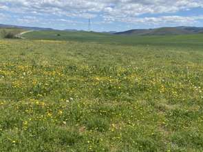 Vente Terrain 1696 m&sup2;Belmont-sur-Rance