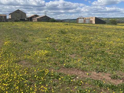 Vente de terrain Belmont-sur-Rance 12