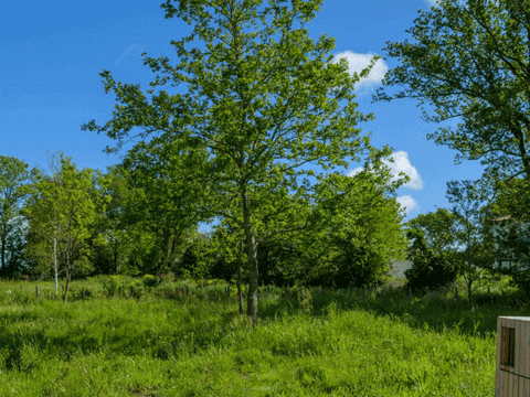 Vente de terrain Besné 44