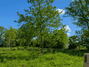 Vente Terrain 422 m&sup2;Besné