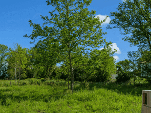 Vente Terrain 422 m&sup2;Besné