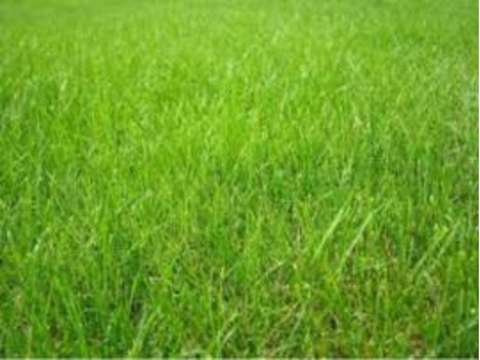 Vente de terrain Betton 35