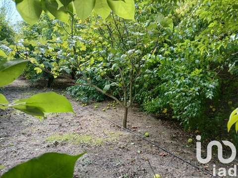 Vente de terrain Bezouce 30