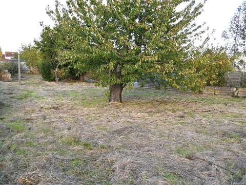 Vente de terrain