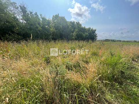 Vente de terrain Billiers 56