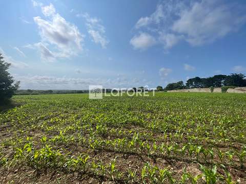 Vente de terrain