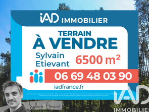 Vente Terrain 6500 m&sup2;Biscarrosse