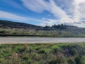 Vente Terrain 1546 m&sup2;Bize-Minervois