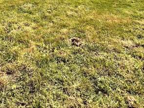 Vente Terrain 706 m&sup2;Blain