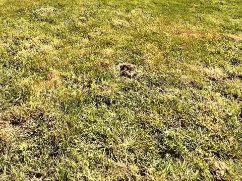 Vente de terrain Blain 44