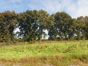 Vente Terrain 623 m&sup2;Bodilis