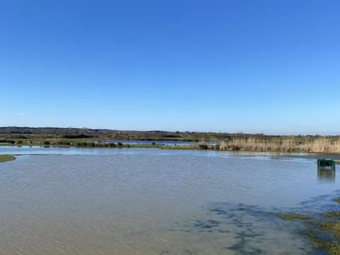 Vente de terrain Bois-de-Céné 85