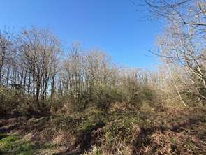 Vente Terrain 1600 m&sup2;Bois-de-Céné