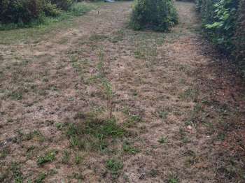 Vente Terrain 300 m&sup2;Bois-Guillaume