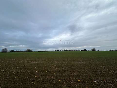 Vente de terrain