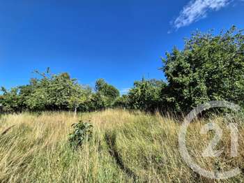 Vente de terrain